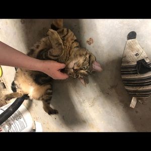 Meet your Posher, Sean